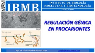 IBMB
Blgo. Dr. José Guillermo González Cabeza gonzalezbiotec@hotmail.com
INSTITUTO DE BIOLOGÍA
MOLECULAR Y BIOTECNOLOGÍA
TRUJILLO - PERU
REGULACIÓN GÉNICA
EN PROCARIONTES
 