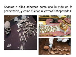 Gracias a ellos sabemos como era la vida en la
prehistoria, y como fueron nuestros antepasados
 