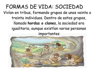 FORMAS DE VIDA: SOCIEDAD
Vivían en tribus, formando grupos de unos veinte o
treinta individuos. Dentro de estos grupos,
llamado hordas o clanes, la sociedad era
igualitaria, aunque existían varias personas
importantes
 