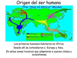 Origen del ser humano
Los primeros humanos habitaron en África.
Desde allí se extendieron a Europa y Asia.
En estas zonas tuvieron que adaptarse a nuevos climas y
ecosistemas.
 