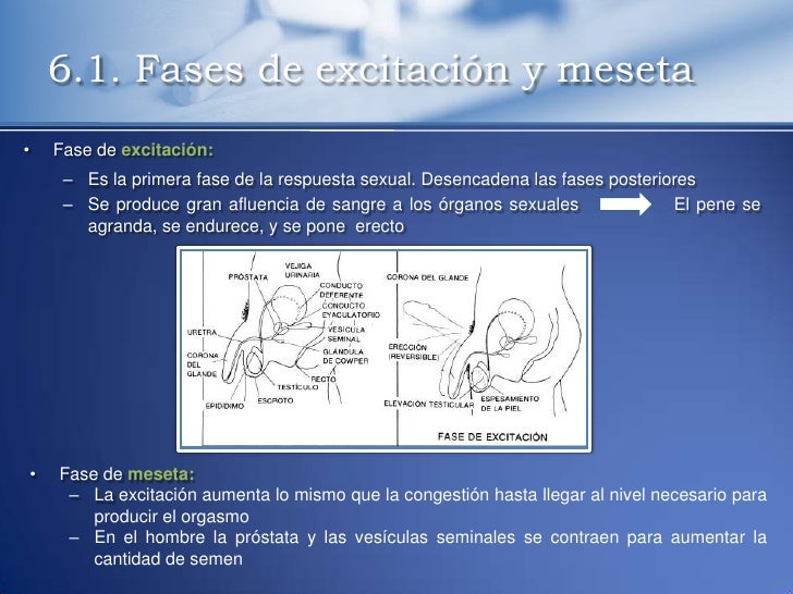 A él el pequeño pene que hacer