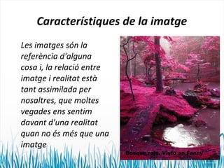 Característiques de la imatge 
Les imatges són la 
referència d'alguna 
cosa i, la relació entre 
imatge i realitat està 
tant assimilada per 
nosaltres, que moltes 
vegades ens sentim 
davant d'una realitat 
quan no és més que una 
imatge 
Bosque rojo. Visto en Fancy 
 