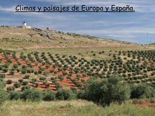 Climas y paisajes de Europa y España.
 