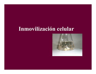 Inmovilización celular
 