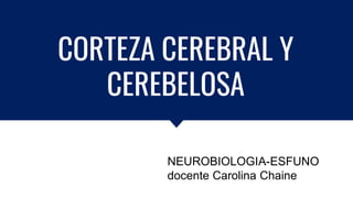 CORTEZA CEREBRAL Y
CEREBELOSA
NEUROBIOLOGIA-ESFUNO
docente Carolina Chaine
 