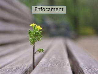 Enfocament 
 