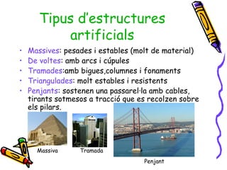 Tipus d’estructures
artificials
• Massives: pesades i estables (molt de material)
• De voltes: amb arcs i cúpules
• Tramades:amb bigues,columnes i fonaments
• Triangulades: molt estables i resistents
• Penjants: sostenen una passarel·la amb cables,
tirants sotmesos a tracció que es recolzen sobre
els pilars.
Penjant
TramadaMassiva
 