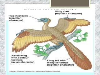FALSEDAD DE LA GENERACIÓN
ESPONTÁNEA
 
