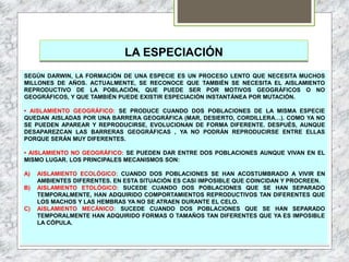 LA ESPECIACIÓN
SEGÚN DARWIN, LA FORMACIÓN DE UNA ESPECIE ES UN PROCESO LENTO QUE NECESITA MUCHOS
MILLONES DE AÑOS. ACTUALMENTE, SE RECONOCE QUE TAMBIÉN SE NECESITA EL AISLAMIENTO
REPRODUCTIVO DE LA POBLACIÓN, QUE PUEDE SER POR MOTIVOS GEOGRÁFICOS O NO
GEOGRÁFICOS, Y QUE TAMBIÉN PUEDE EXISTIR ESPECIACIÓN INSTANTÁNEA POR MUTACIÓN.
• AISLAMIENTO GEOGRÁFICO: SE PRODUCE CUANDO DOS POBLACIONES DE LA MISMA ESPECIE
QUEDAN AISLADAS POR UNA BARRERA GEOGRÁFICA (MAR, DESIERTO, CORDILLERA…). COMO YA NO
SE PUEDEN APAREAR Y REPRODUCIRSE, EVOLUCIONAN DE FORMA DIFERENTE. DESPUÉS, AUNQUE
DESAPAREZCAN LAS BARRERAS GEOGRÁFICAS , YA NO PODRÁN REPRODUCIRSE ENTRE ELLAS
PORQUE SERÁN MUY DIFERENTES.
• AISLAMIENTO NO GEOGRÁFICO: SE PUEDEN DAR ENTRE DOS POBLACIONES AUNQUE VIVAN EN EL
MISMO LUGAR. LOS PRINCIPALES MECANISMOS SON:
A) AISLAMIENTO ECOLÓGICO: CUANDO DOS POBLACIONES SE HAN ACOSTUMBRADO A VIVIR EN
AMBIENTES DIFERENTES. EN ESTA SITUACIÓN ES CASI IMPOSIBLE QUE COINCIDAN Y PROCREEN.
B) AISLAMIENTO ETOLÓGICO: SUCEDE CUANDO DOS POBLACIONES QUE SE HAN SEPARADO
TEMPORALMENTE, HAN ADQUIRIDO COMPORTAMIENTOS REPRODUCTIVOS TAN DIFERENTES QUE
LOS MACHOS Y LAS HEMBRAS YA NO SE ATRAEN DURANTE EL CELO.
C) AISLAMIENTO MECÁNICO: SUCEDE CUANDO DOS POBLACIONES QUE SE HAN SEPARADO
TEMPORALMENTE HAN ADQUIRIDO FORMAS O TAMAÑOS TAN DIFERENTES QUE YA ES IMPOSIBLE
LA CÓPULA.
 