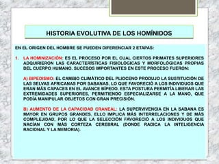 HISTORIA EVOLUTIVA DE LOS HOMÍNIDOS
EN EL ORIGEN DEL HOMBRE SE PUEDEN DIFERENCIAR 2 ETAPAS:
1. LA HOMINIZACIÓN: ES EL PROCESO POR EL CUAL CIERTOS PRIMATES SUPERIORES
ADQUIRIERON LAS CARACTERÍSTICAS FISIOLÓGICAS Y MORFOLÓGICAS PROPIAS
DEL CUERPO HUMANO. SUCESOS IMPORTANTES EN ESTE PROCESO FUERON:
A) BIPEDISMO: EL CAMBIO CLIMÁTICO DEL PLIOCENO PRODUJO LA SUSTITUCIÓN DE
LAS SELVAS AFRICANAS POR SABANAS, LO QUE FAVORECIÓ A LOS INDIVIDUOS QUE
ERAN MÁS CAPACES EN EL AVANCE BÍPEDO. ESTA POSTURA PERMITÍA LIBERAR LAS
EXTREMIDADES SUPERIORES, PERMITIENDO ESPECIALIZARSE A LA MANO, QUE
PODÍA MANIPULAR OBJETOS CON GRAN PRECISIÓN.
B) AUMENTO DE LA CAPACIDAD CRANEAL: LA SUPERVIVENCIA EN LA SABANA ES
MAYOR EN GRUPOS GRANDES. ELLO IMPLICA MÁS INTERRELACIONES Y DE MÁS
COMPLEJIDAD, POR LO QUE LA SELECCIÓN FAVORECIÓ A LOS INDIVIDUOS QUE
NACÍAN CON MÁS CORTEZA CEREBRAL (DONDE RADICA LA INTELIGENCIA
RACIONAL Y LA MEMORIA).
 