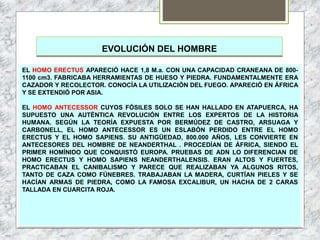 EVOLUCIÓN DEL HOMBRE
EL HOMO ERECTUS APARECIÓ HACE 1,8 M.a. CON UNA CAPACIDAD CRANEANA DE 800-
1100 cm3. FABRICABA HERRAMIENTAS DE HUESO Y PIEDRA. FUNDAMENTALMENTE ERA
CAZADOR Y RECOLECTOR. CONOCÍA LA UTILIZACIÓN DEL FUEGO. APARECIÓ EN ÁFRICA
Y SE EXTENDIÓ POR ASIA.
EL HOMO ANTECESSOR CUYOS FÓSILES SOLO SE HAN HALLADO EN ATAPUERCA, HA
SUPUESTO UNA AUTÉNTICA REVOLUCIÓN ENTRE LOS EXPERTOS DE LA HISTORIA
HUMANA. SEGÚN LA TEORÍA EXPUESTA POR BERMÚDEZ DE CASTRO, ARSUAGA Y
CARBONELL, EL HOMO ANTECESSOR ES UN ESLABÓN PERDIDO ENTRE EL HOMO
ERECTUS Y EL HOMO SAPIENS. SU ANTIGÜEDAD, 800.000 AÑOS, LES CONVIERTE EN
ANTECESORES DEL HOMBRE DE NEANDERTHAL . PROCEDÍAN DE ÁFRICA, SIENDO EL
PRIMER HOMÍNIDO QUE CONQUISTÓ EUROPA. PRUEBAS DE ADN LO DIFERENCIAN DE
HOMO ERECTUS Y HOMO SAPIENS NEANDERTHALENSIS. ERAN ALTOS Y FUERTES,
PRACTICABAN EL CANIBALISMO Y PARECE QUE REALIZABAN YA ALGUNOS RITOS,
TANTO DE CAZA COMO FÚNEBRES. TRABAJABAN LA MADERA, CURTÍAN PIELES Y SE
HACÍAN ARMAS DE PIEDRA, COMO LA FAMOSA EXCALIBUR, UN HACHA DE 2 CARAS
TALLADA EN CUARCITA ROJA.
 