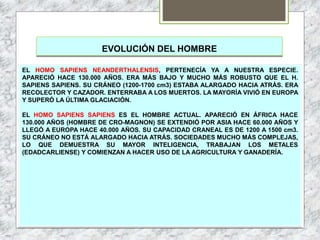 EVOLUCIÓN DEL HOMBRE
EL HOMO SAPIENS NEANDERTHALENSIS, PERTENECÍA YA A NUESTRA ESPECIE.
APARECIÓ HACE 130.000 AÑOS. ERA MÁS BAJO Y MUCHO MÁS ROBUSTO QUE EL H.
SAPIENS SAPIENS. SU CRÁNEO (1200-1700 cm3) ESTABA ALARGADO HACIA ATRÁS. ERA
RECOLECTOR Y CAZADOR. ENTERRABA A LOS MUERTOS. LA MAYORÍA VIVIÓ EN EUROPA
Y SUPERÓ LA ÚLTIMA GLACIACIÓN.
EL HOMO SAPIENS SAPIENS ES EL HOMBRE ACTUAL. APARECIÓ EN ÁFRICA HACE
130.000 AÑOS (HOMBRE DE CRO-MAGNON) SE EXTENDIÓ POR ASIA HACE 60.000 AÑOS Y
LLEGÓ A EUROPA HACE 40.000 AÑOS. SU CAPACIDAD CRANEAL ES DE 1200 A 1500 cm3.
SU CRÁNEO NO ESTÁ ALARGADO HACIA ATRÁS. SOCIEDADES MUCHO MÁS COMPLEJAS,
LO QUE DEMUESTRA SU MAYOR INTELIGENCIA, TRABAJAN LOS METALES
(EDADCARLIENSE) Y COMIENZAN A HACER USO DE LA AGRICULTURA Y GANADERÍA.
 