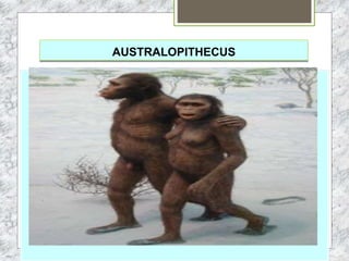 AUSTRALOPITHECUS
 