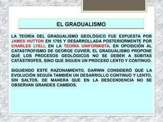 EL GRADUALISMO
LA TEORÍA DEL GRADUALISMO GEOLÓGICO FUE EXPUESTA POR
JAMES HUTTON EN 1795 Y DESARROLLADA POSTERIORMENTE POR
CHARLES LYELL EN LA TEORÍA UNIFORMISTA. EN OPOSICIÓN AL
CATASTROFISMO DE GEORGE CUVIER, EL GRADUALISMO PROPONE
QUE LOS PROCESOS GEOLÓGICOS NO SE DEBEN A SÚBITAS
CATÁSTROFES, SINO QUE SIGUEN UN PROCESO LENTO Y CONTINUO.
SIGUIENDO ESTE RAZONAMIENTO, DARWIN CONSIDERÓ QUE LA
EVOLUCIÓN SEGUÍA TAMBIÉN UN DESARROLLO CONTINUO Y LENTO,
SIN SALTOS. DE MANERA QUE EN LA DESCENDENCIA NO SE
OBSERVAN GRANDES CAMBIOS.
 