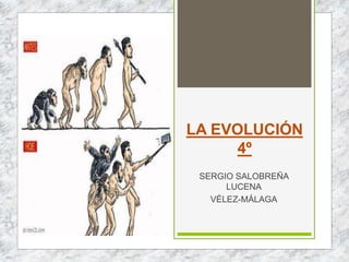 LA EVOLUCIÓN
4º
SERGIO SALOBREÑA
LUCENA
VÉLEZ-MÁLAGA
 