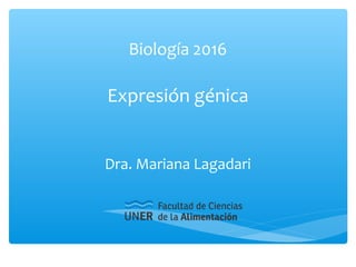 Biología 2016
Expresión génica
Dra. Mariana Lagadari
 