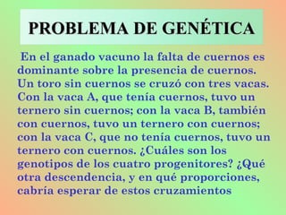 En el ganado vacuno la falta de cuernos es
dominante sobre la presencia de cuernos.
Un toro sin cuernos se cruzó con tres vacas.
Con la vaca A, que tenía cuernos, tuvo un
ternero sin cuernos; con la vaca B, también
con cuernos, tuvo un ternero con cuernos;
con la vaca C, que no tenía cuernos, tuvo un
ternero con cuernos. ¿Cuáles son los
genotipos de los cuatro progenitores? ¿Qué
otra descendencia, y en qué proporciones,
cabría esperar de estos cruzamientos
PROBLEMA DE GENÉTICAPROBLEMA DE GENÉTICA
 