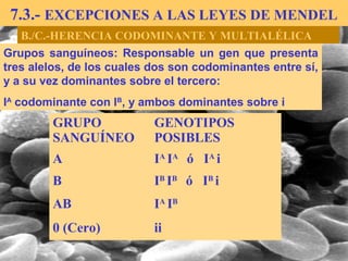 7.3.- EXCEPCIONES A LAS LEYES DE MENDEL
B./C.-HERENCIA CODOMINANTE Y MULTIALÉLICA
Grupos sanguíneos: Responsable un gen que presenta
tres alelos, de los cuales dos son codominantes entre sí,
y a su vez dominantes sobre el tercero:
IA
codominante con IB
, y ambos dominantes sobre i
GRUPO
SANGUÍNEO
GENOTIPOS
POSIBLES
A IA
IA
ó IA
i
B IB
IB
ó IB
i
AB IA
IB
0 (Cero) ii
 