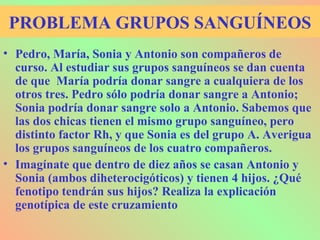 PROBLEMA GRUPOS SANGUÍNEOS
• Pedro, María, Sonia y Antonio son compañeros de
curso. Al estudiar sus grupos sanguíneos se dan cuenta
de que María podría donar sangre a cualquiera de los
otros tres. Pedro sólo podría donar sangre a Antonio;
Sonia podría donar sangre solo a Antonio. Sabemos que
las dos chicas tienen el mismo grupo sanguíneo, pero
distinto factor Rh, y que Sonia es del grupo A. Averigua
los grupos sanguíneos de los cuatro compañeros.
• Imagínate que dentro de diez años se casan Antonio y
Sonia (ambos diheterocigóticos) y tienen 4 hijos. ¿Qué
fenotipo tendrán sus hijos? Realiza la explicación
genotípica de este cruzamiento
 