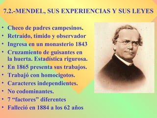 7.2.-MENDEL, SUS EXPERIENCIAS Y SUS LEYES
• Checo de padres campesinos.
• Retraído, tímido y observador
• Ingresa en un monasterio 1843
• Cruzamiento de guisantes en
la huerta. Estadística rigurosa.
• En 1865 presenta sus trabajos.
• Trabajó con homocigotos.
• Caracteres independientes.
• No codominantes.
• 7 “factores” diferentes
• Falleció en 1884 a los 62 años
 