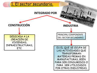 1. El sector secundario.
ES EL QUE SE OCUPA DE
LAS ACTIVIDADES QUE
TRANSFORMAN
MATERIAS PRIMAS EN
MANUFACTURAS, BIEN
PARA SER CONSUMIDOS O
PARA SER UTILIZADOS
POR OTRAS INDUSTRIAS.
INTEGRADO POR
CONSTRUCCIÓN INDUSTRIA
DEDICADA A LA
CREACIÓN DE
VIVIENDAS,
INFRAESTRUCTURAS,
ETC.
PRINCIPAL COMPONENTE
DEL SECTOR SECUNDARIO.
 