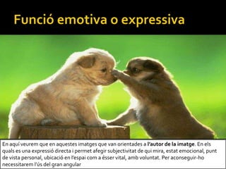 En aqu veurem que en aquestes imatges que van orientades a lautor de la imatge. En els
quals es una expressi directa i permet afegir subjectivitat de qui mira, estat emocional, punt
de vista personal, ubicaci en lespai com a sser vital, amb voluntat. Per aconseguir-ho
necessitarem ls del gran angular
 
