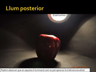 (Codi lumnic )
Podem observar que en aquesta illuminaci com es pot apreciar la tridimensionalitat
 