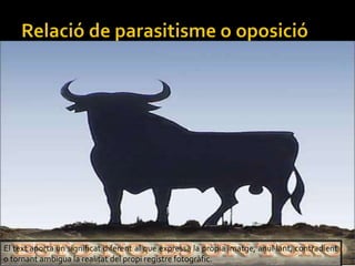 El text aporta un significat diferent al que expressa la prpia imatge, anullant, contradient
o tornant ambigua la realitat del propi registre fotogrfic.
 
