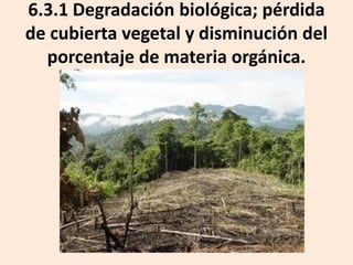 6.3.1 Degradación biológica; pérdida
de cubierta vegetal y disminución del
porcentaje de materia orgánica.

 