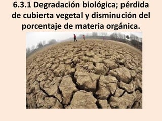 6.3.1 Degradación biológica; pérdida
de cubierta vegetal y disminución del
porcentaje de materia orgánica.

 