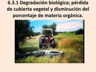 6.3.1 Degradación biológica; pérdida
de cubierta vegetal y disminución del
porcentaje de materia orgánica.

 