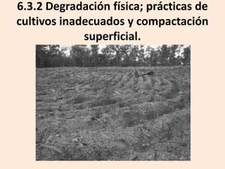 6.3.2 Degradación física; prácticas de
cultivos inadecuados y compactación
superficial.

 