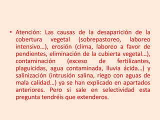 • Atención: Las causas de la desaparición de la
cobertura vegetal (sobrepastoreo, laboreo
intensivo…), erosión (clima, laboreo a favor de
pendientes, eliminación de la cubierta vegetal…),
contaminación
(exceso
de
fertilizantes,
plaguicidas, agua contaminada, lluvia ácida…) y
salinización (intrusión salina, riego con aguas de
mala calidad…) ya se han explicado en apartados
anteriores. Pero si sale en selectividad esta
pregunta tendréis que extenderos.

 