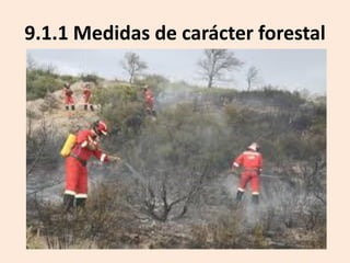 9.1.1 Medidas de carácter forestal

 