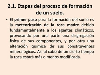 2.1. Etapas del proceso de formación
de un suelo.
• El primer paso para la formación del suelo es
la meteorización de la roca madre debido
fundamentalmente a los agentes climáticos,
provocando por una parte una disgregación
física de sus componentes, y por otra una
alteración química de sus constituyentes
mineralógicos. Así al cabo de un cierto tiempo
la roca estará más o menos modificada.

 
