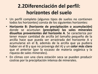 2.2Diferenciación del perfil:
horizontes del suelo
• Un perfil completo (algunos tipos de suelos no contienen
todos los horizontes) consta de los siguientes horizontes:
• Horizonte B: (horizonte de precipitación o acumulación)
donde se acumulan (precipitan) las sales minerales
disueltas provenientes del horizonte A. Se caracteriza por
tener mayor cantidad de arcilla (el tamaño pequeño de la
arcilla hace que pueda ser arrastrada del horizonte A y
acumularse en el B, además de la arcilla que ya pudiera
haber en el B y que no provenga del A) y un color más claro
que el anterior (por la escasez de materia orgánica y la
riqueza de sales minerales).
• En climas con una clara estación seca se pueden producir
costras por la precipitación intensa de minerales.

 