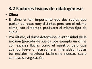 3.2 Factores físicos de edafogénesis
• Clima
• El clima es tan importante que dos suelos que
parten de rocas muy distintas pero con el mismo
clima, con el tiempo producen el mismo tipo de
suelo.
• Por último, el clima determina la intensidad de la
erosión (pérdida de suelo), por ejemplo un clima
con escasas lluvias como el nuestro, pero que
cuando llueve lo hace con gran intensidad (lluvias
torrenciales) erosiona fácilmente nuestro suelo
con escasa vegetación.

 