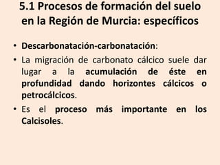 5.1 Procesos de formación del suelo
en la Región de Murcia: específicos
• Descarbonatación-carbonatación:
• La migración de carbonato cálcico suele dar
lugar a la acumulación de éste en
profundidad dando horizontes cálcicos o
petrocálcicos.
• Es el proceso más importante en los
Calcisoles.

 