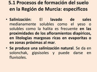 5.1 Procesos de formación del suelo
en la Región de Murcia: específicos
• Salinización:
El
lavado
de
sales
medianamente solubles como el yeso o
solubles como la halita es frecuente en las
proximidades de los afloramientos diapíricos,
en litologías margosas ricas en evaporitas o
en zonas próximas al mar.
• Se produce una salinización natural. Se da en
solonchak, gipsisoles y puede darse en
fluvisoles.

 
