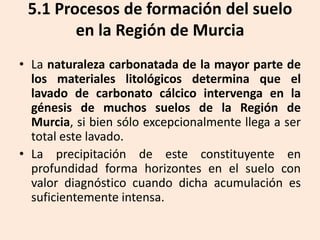 5.1 Procesos de formación del suelo
en la Región de Murcia
• La naturaleza carbonatada de la mayor parte de
los materiales litológicos determina que el
lavado de carbonato cálcico intervenga en la
génesis de muchos suelos de la Región de
Murcia, si bien sólo excepcionalmente llega a ser
total este lavado.
• La precipitación de este constituyente en
profundidad forma horizontes en el suelo con
valor diagnóstico cuando dicha acumulación es
suficientemente intensa.

 