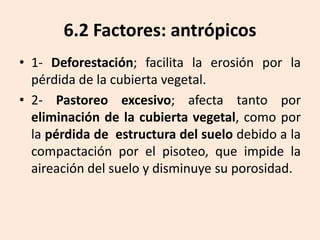 6.2 Factores: antrópicos
• 1- Deforestación; facilita la erosión por la
pérdida de la cubierta vegetal.
• 2- Pastoreo excesivo; afecta tanto por
eliminación de la cubierta vegetal, como por
la pérdida de estructura del suelo debido a la
compactación por el pisoteo, que impide la
aireación del suelo y disminuye su porosidad.

 