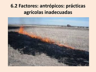 6.2 Factores: antrópicos: prácticas
agrícolas inadecuadas

 