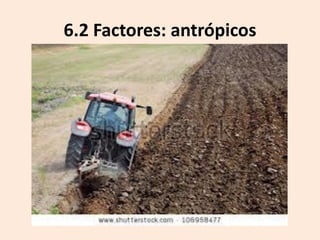 6.2 Factores: antrópicos

 