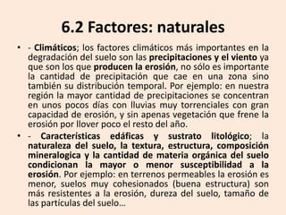 6.2 Factores: naturales
• - Climáticos; los factores climáticos más importantes en la
degradación del suelo son las precipitaciones y el viento ya
que son los que producen la erosión, no sólo es importante
la cantidad de precipitación que cae en una zona sino
también su distribución temporal. Por ejemplo: en nuestra
región la mayor cantidad de precipitaciones se concentran
en unos pocos días con lluvias muy torrenciales con gran
capacidad de erosión, y sin apenas vegetación que frene la
erosión por llover poco el resto del año.
• - Características edáficas y sustrato litológico; la
naturaleza del suelo, la textura, estructura, composición
mineralogica y la cantidad de materia orgánica del suelo
condicionan la mayor o menor susceptibilidad a la
erosión. Por ejemplo: en terrenos permeables la erosión es
menor, suelos muy cohesionados (buena estructura) son
más resistentes a la erosión, dureza del suelo, tamaño de
las partículas del suelo…

 