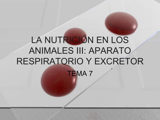 LA NUTRICIÓN EN LOS
ANIMALES III: APARATO
RESPIRATORIO Y EXCRETOR
TEMA 7
 