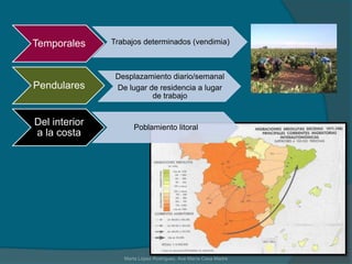 4.2 Desequilibrios en Natalidad: Comunidades tradicionalmente natalistas: Andalucía, Murcia, Baleares, Canarias, Ceuta, Melilla (Comunidades del Sur)
