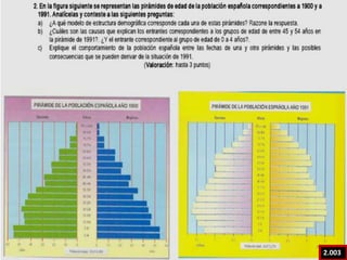 Saldo migratorio más elevado: década 60 (crecimiento industrial, oferta empleo)