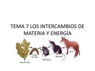 TEMA 7 LOS INTERCAMBIOS DE
MATERIA Y ENERGÍA
 