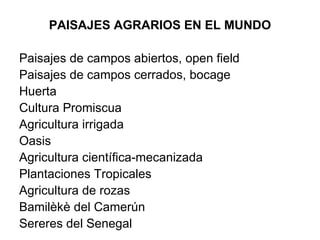 PAISAJES AGRARIOS EN EL MUNDO Paisajes de campos abiertos, open field Paisajes de campos cerrados, bocage Huerta Cultura Promiscua Agricultura irrigada Oasis Agricultura científica-mecanizada Plantaciones Tropicales Agricultura de rozas Bamilèkè del Camerún Sereres del Senegal  