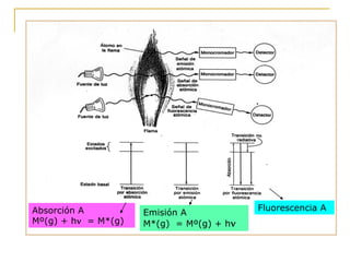 Emisión A
M*(g) = Mº(g) + h
Absorción A
Mº(g) + h = M*(g)
Fluorescencia A
 